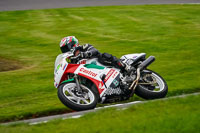 anglesey;brands-hatch;cadwell-park;croft;donington-park;enduro-digital-images;event-digital-images;eventdigitalimages;mallory;no-limits;oulton-park;peter-wileman-photography;racing-digital-images;silverstone;snetterton;trackday-digital-images;trackday-photos;vmcc-banbury-run;welsh-2-day-enduro